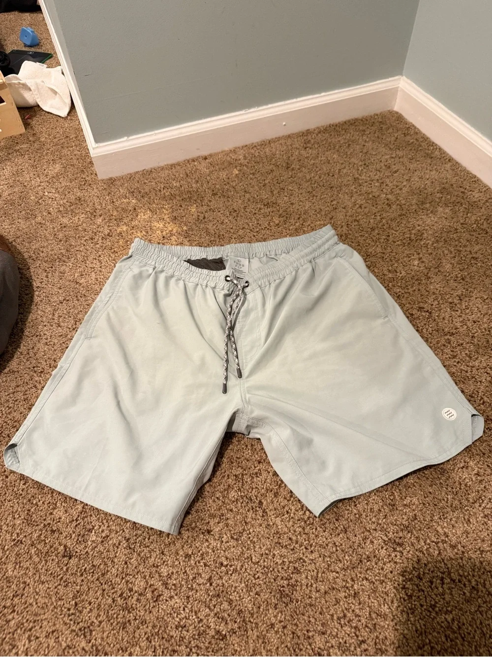 Free Fly Lightweight Mint Green Swim Trunks